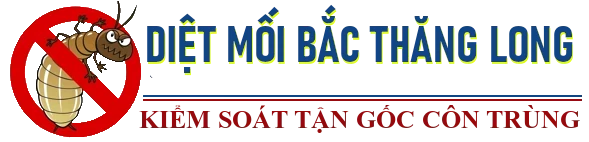 DIỆT MỐI BẮC THĂNG LONG