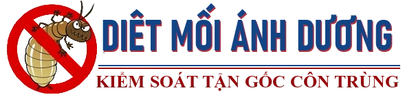 Diệt Mối Côn Trùng Ánh Dương